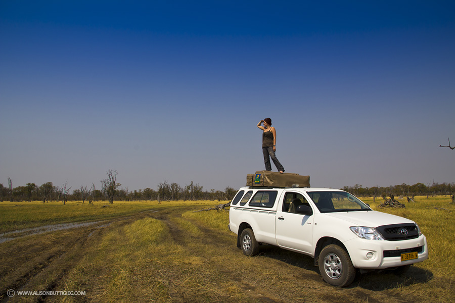 Self Drive Safari in Africa – Is it for you?
