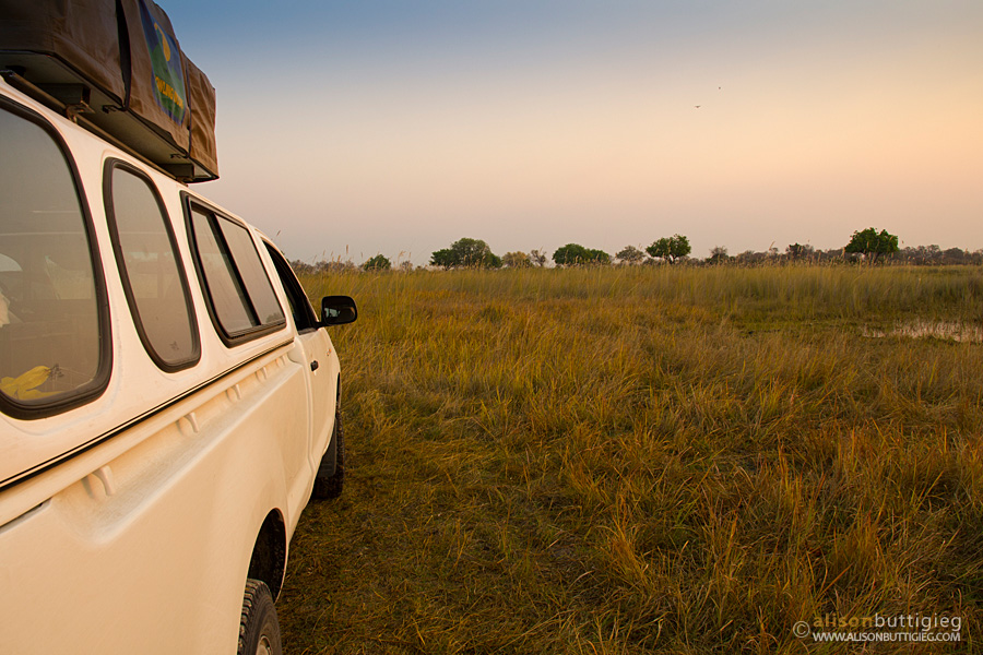 Rental car during self drive in Moremi Game Reserve, Botswana