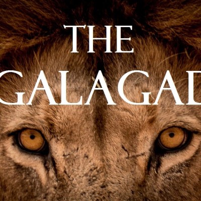 the-kgalagadi-ktp-a-kalahari-self-drive-safari-adventure-full-hd